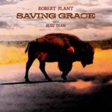 LP Robert Plant - Saving Grace