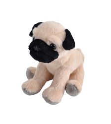 Plyš Kapsáček Mops - Plyšové hračky Plyš Kapsáček Mops
