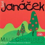Mužské sbory /Kantor Halfar, Potulný šílenec, Česká legie.../-CD Mužské sbory /Kantor Halfar, Potulný šílenec, Česká legie.../-CD