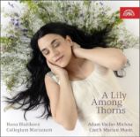 CD Mariánská muzika CD Mariánská muzika