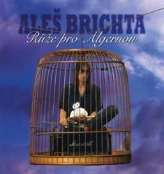 Růže pro Algernon - Aleš Brichta - Český Pop Rock na vinylu Růže pro Algernon