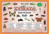 Zvířata hmyz - Sada 24 karet - kolektiv autorů - Knihy o zvířatech pro děti Zvířata hmyz - Sada 24 karet