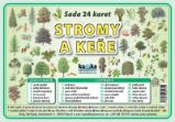Sada 24 karet - stromy a keře - Výukové přehledy, tabulky, taháky pro ZŠ Sada 24 karet - stromy a keře