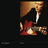 LP Steve Hackett - Tribute