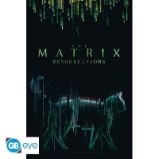 Plakát Maxi 91,5x61cm - Matrix - Kočka - Plakáty Matrix Plakát Maxi Kočka 91,5 x 61 cm