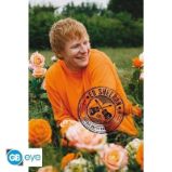 Ed Sheeran Plakát Maxi: Rose Field 91,5 x 61 cm Ed Sheeran Plakát Maxi: Rose Field 91,5 x 61 cm