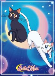 Sailor Moon Plakát Luna & Artemis 52 x 38 cm - Pro fanoušky Sailor Moon Plakát Luna & Artemis 52 x 38 cm