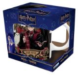 Harry Potter Hrnek - Harry & Draco 320 ml