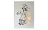 Harry Potter Plakát - Hedvika - Plakáty Harry Potter Plakát - Hedvika