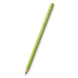 Pastelka Faber-Castell Polychromos - 170, may green