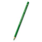 Pastelka Faber-Castell Polychromos - 266, parmanent green Pastelka Faber-Castell Polychromos - 266, parmanent green