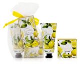 Set péče o ruce ESSENTIAL BOTANICALS organza Citron a bergamot 20ml+25g bal.