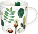 Hrnek Druhy stromů - Home deco Hrnek Druhy stromů