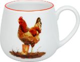 Nemotorná slepice buclák Nemotorná slepice buclák