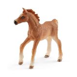 Hříbě s přikrývkou - Figurky a hrací sety Hříbě s přikrývkou