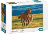 Puzzle Výchova hříběte 1000 dílků - Puzzle Puzzle Výchova hříběte