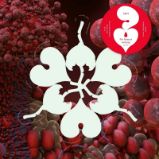 LP Björk - Fossora Remixes - Světová taneční hudba na vinylu LP Björk - Fossora Remixes