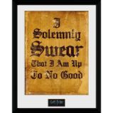 Harry Potter Zarámovaný plakát - Slavnostně přísahám Harry Potter Zarámovaný plakát - Slavnostně přísahám