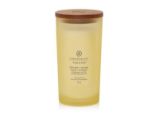 Vonná svíčka CHESAPEAKE BAY CANDLE Strength & Energy 355g