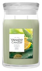 YANKEE CANDLE Sage & Citrus svíčka 567g / 2 knoty (Signature velký)