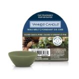 YANKEE CANDLE Silver Sage & Pine vonný vosk 22g YANKEE CANDLE Silver Sage & Pine vonný vosk 22g