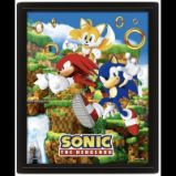 Sonic 3D obraz - Catching Rings - Home deco 3D obraz Sonic