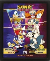 Sonic 3D obraz - Select your Fighter - Pro fanoušky Sonic 3D obraz - Select your Fighter