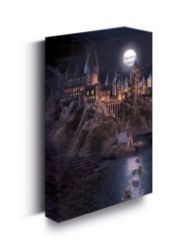 Harry Potter Obraz LED svítící 30x40 cm - Bradavice hrad Harry Potter Obraz LED svítící 30x40 cm - Bradavice hrad