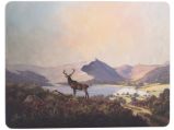 Korkové prostírání Highland Stag malé Korkové prostírání Highland Stag malé