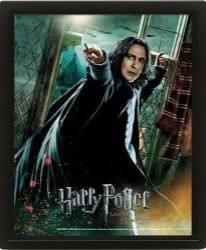 Harry Potter Obraz 3D - Snape - Pro fanoušky Harry Potter Obraz 3D - Snape