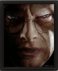 Harry Potter Obraz 3D - Harry vs Voldemort - Pro fanoušky Harry Potter Obraz 3D - Harry vs Voldemort