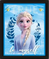 Obraz 3D Frozen - Pro fanoušky Obraz 3D Frozen