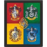 Harry Potter Obraz 3D - barevný - Pro fanoušky Harry Potter Obraz 3D - barevný
