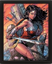 Obraz 3D Wonder Woman Battle - Pro fanoušky Obraz 3D Wonder Woman Battle