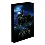 Harry Potter obraz LED svítící 30x40 cm - Bradavice Harry Potter obraz LED svítící 30x40 cm - Bradavice
