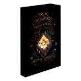 Harry Potter obraz LED svítící 30x40 cm - Pobertův plánek Harry Potter obraz LED svítící 30x40 cm - Pobertův plánek