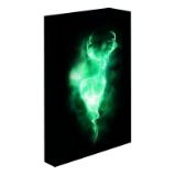 Harry Potter obraz LED svítící 30x40 cm - Patron - Pro fanoušky Harry Potter obraz LED svítící 30x40 cm - Patron