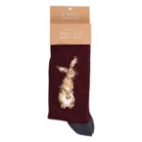 Pánské ponožky Wrendale Designs "The Hare" - Zajíc