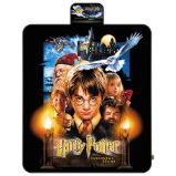 Harry Potter Pikniková deka - 20. výročí Harry Potter Pikniková deka - 20. výročí