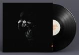 LP Richard Spaven: Light Of Day