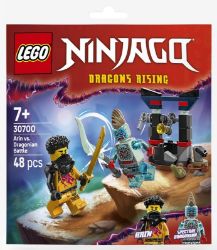 LEGO® NINJAGO® 30700 Souboj: Arin vs. dračí stvoření - LEGO NINJAGO LEGO® NINJAGO® 30700 Souboj: Arin vs. dračí stvoření
