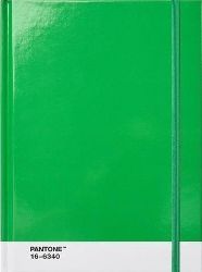 Pantone Zápisník tečkovaný L - Green 16-6340 Pantone Zápisník tečkovaný L - Green 16-6340