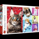 Trefl Puzzle Veselé kočky / 1000 dílků Trefl Puzzle Veselé kočky / 1000 dílků