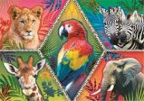 Trefl Puzzle Animal Planet: Exotická zvířata/1000 dílků - Puzzle pro dospělé Trefl Puzzle Animal Planet: Exotická zvířata/1000 dílků