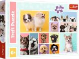 Trefl Puzzle Psí přátelství 160 dílků Trefl Puzzle Psí přátelství 160 dílků