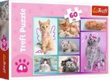 Trefl Puzzle Roztomilá koťátka 60 dílků