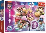 Puzzle Tlapková patrola: Hrdinové z města 30 dílků - Puzzle Puzzle Tlapková patrola: Hrdinové z města 30 dílků