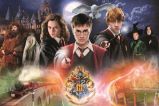 Trefl Puzzle Harry Potter - Tajemný Harry Potter/300 dílků