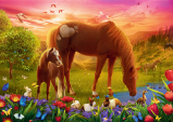Puzzle Koně na louce/500 dílků - Puzzle Puzzle Koně na louce 500 dílků