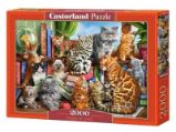 Castorland Puzzle - Kočičí dům 2000 dílkú Castorland Puzzle - Kočičí dům 2000 dílkú